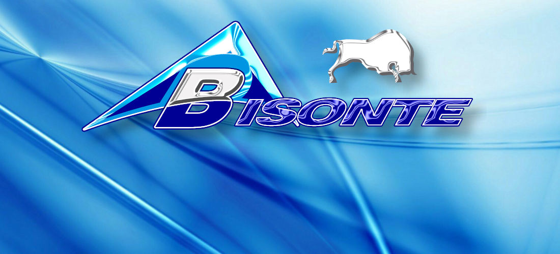 Bisonte Carrocerías